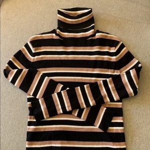 Zara Knit Turtleneck